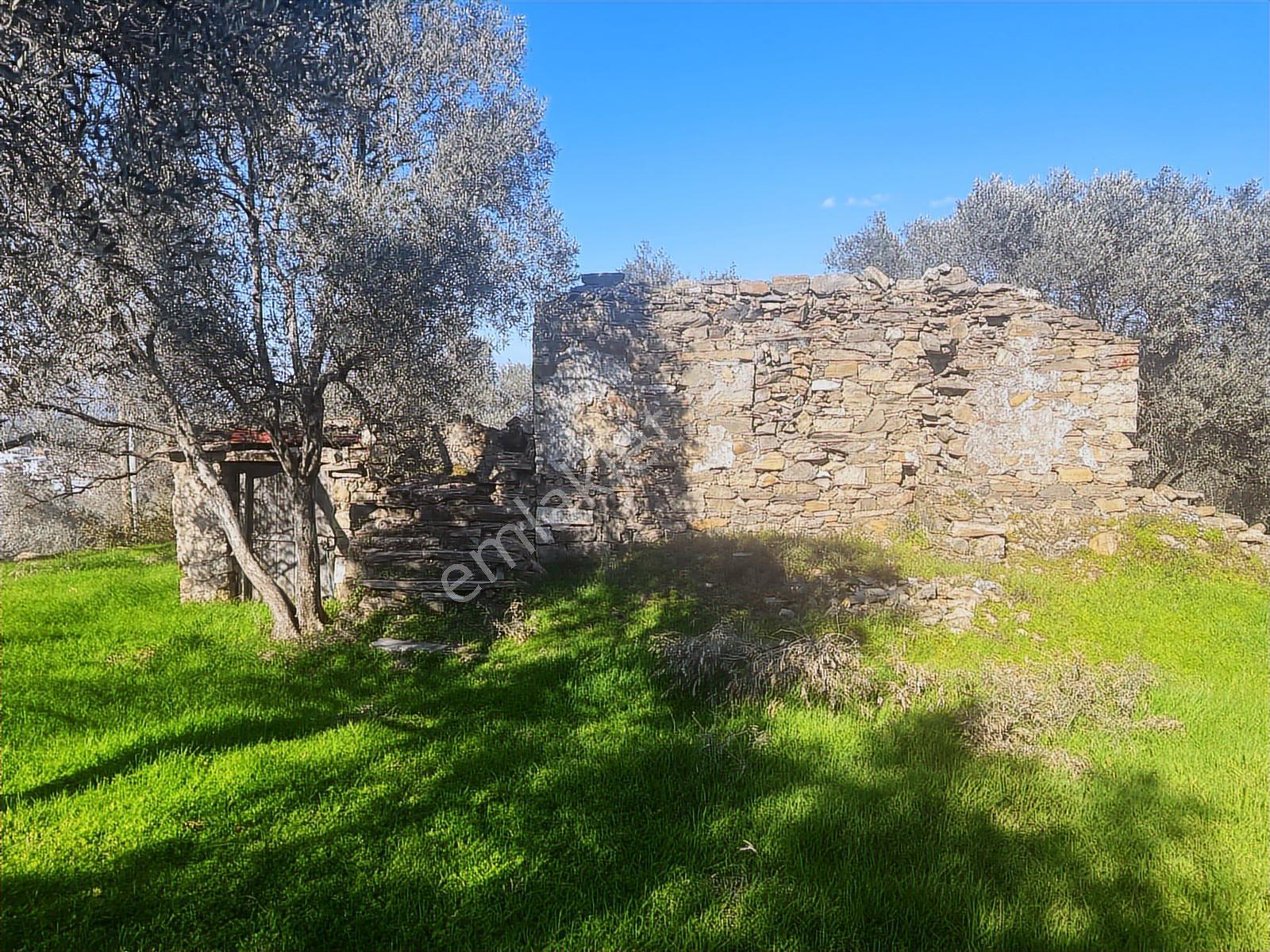 Milas Karacahisarda Köy İçi Kağir Ev Ve 980 M2 Arsası