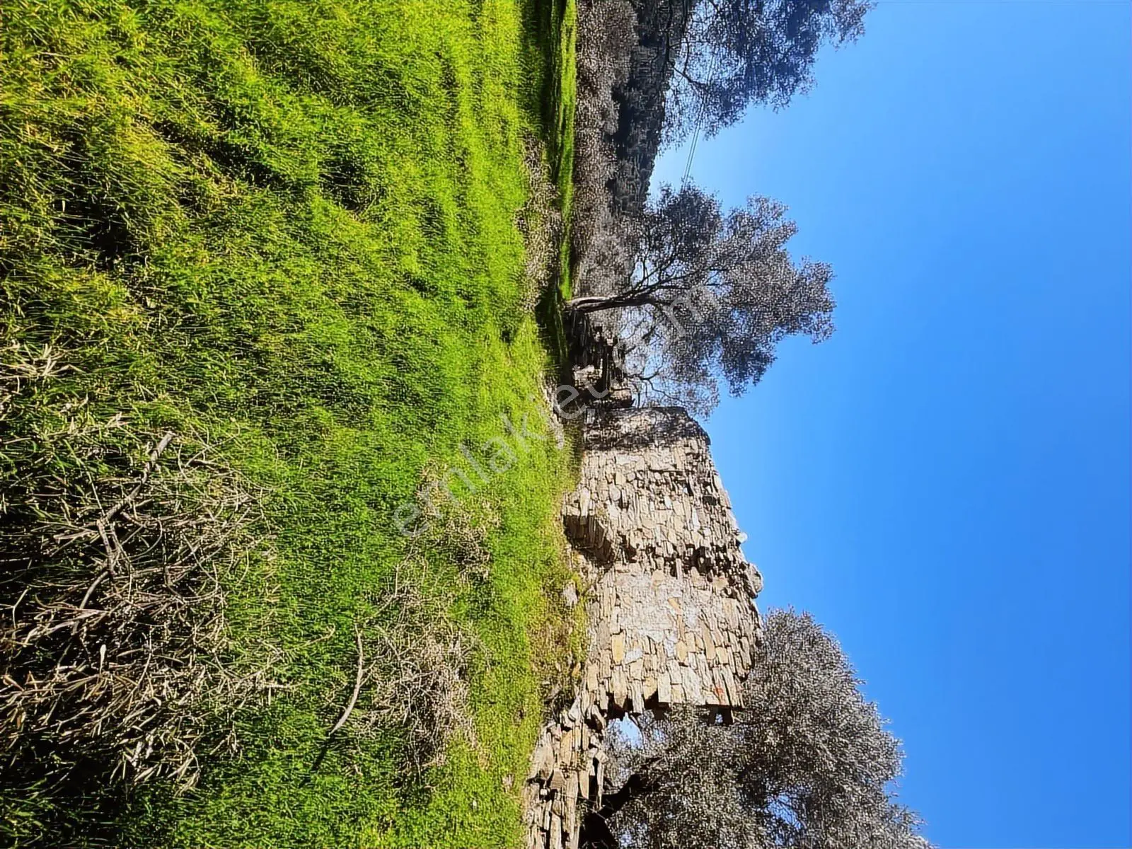 Milas Karacahisarda Köy İçi Kağir Ev Ve 980 M2 Arsası — fotoğraf 2