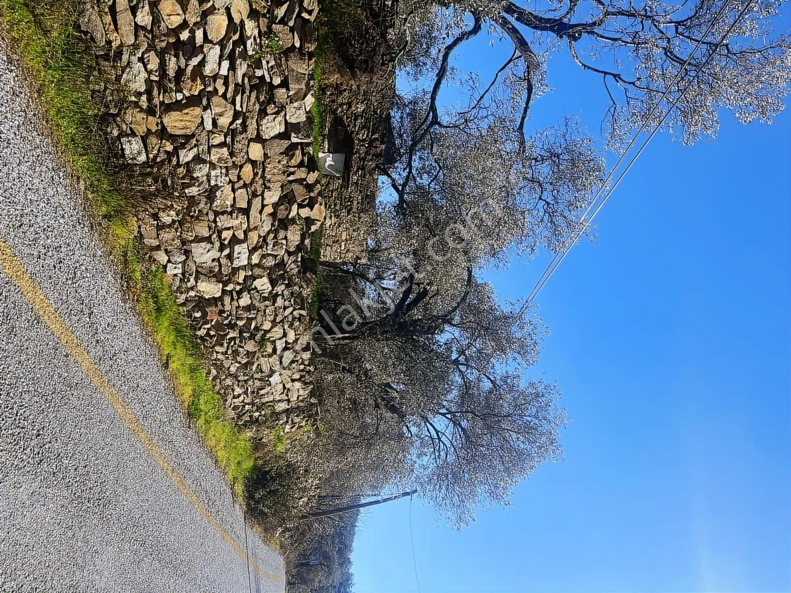 Milas Karacahisarda Köy İçi Kağir Ev Ve 980 M2 Arsası — fotoğraf 3