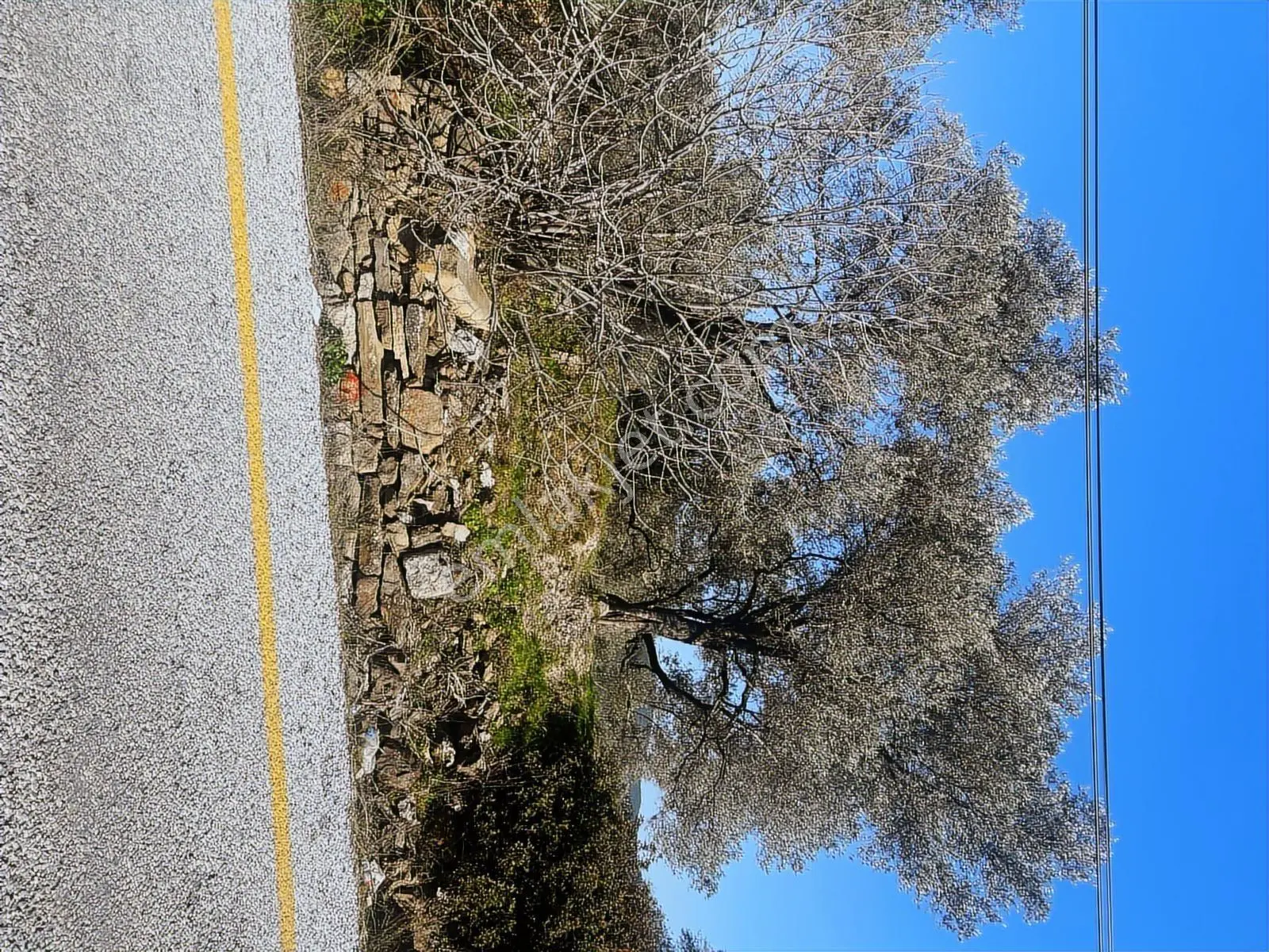 Milas Karacahisarda Köy İçi Kağir Ev Ve 980 M2 Arsası — fotoğraf 7