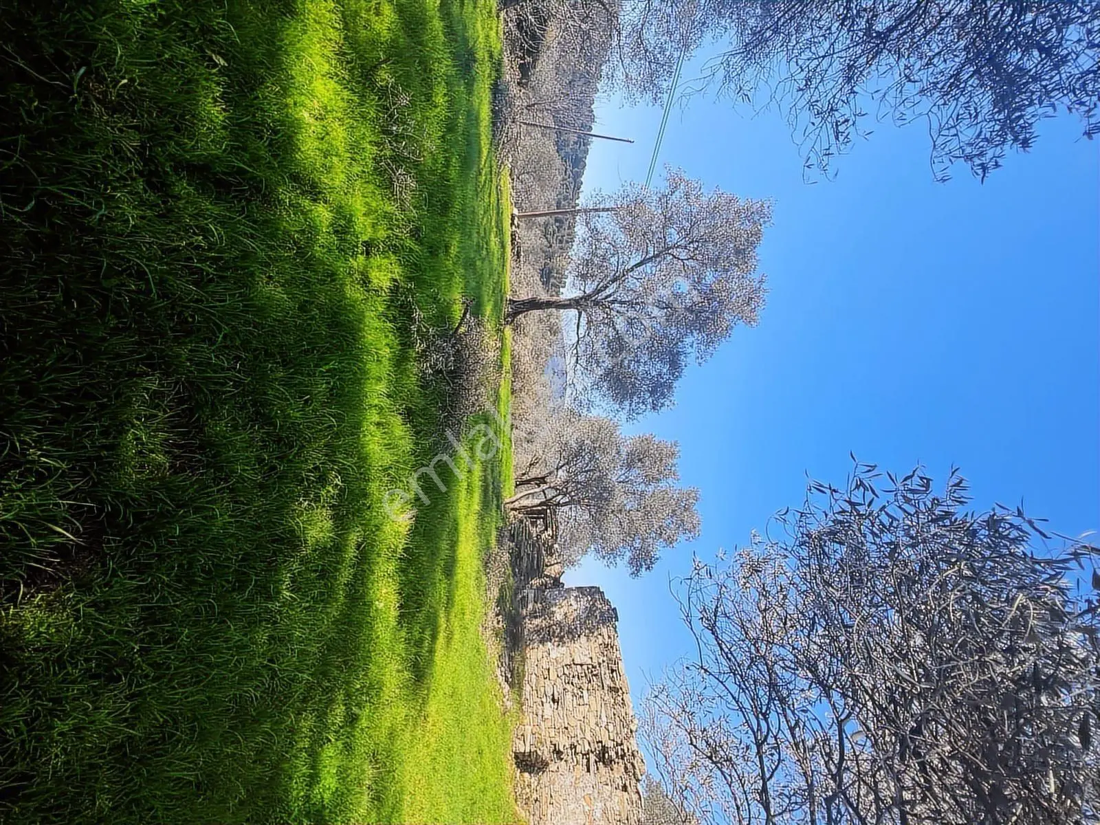 Milas Karacahisarda Köy İçi Kağir Ev Ve 980 M2 Arsası — fotoğraf 9