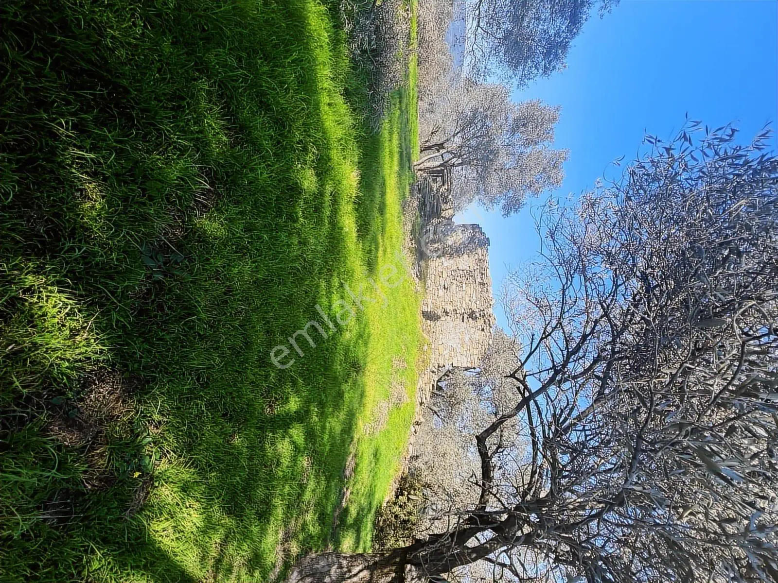 Milas Karacahisarda Köy İçi Kağir Ev Ve 980 M2 Arsası — fotoğraf 11