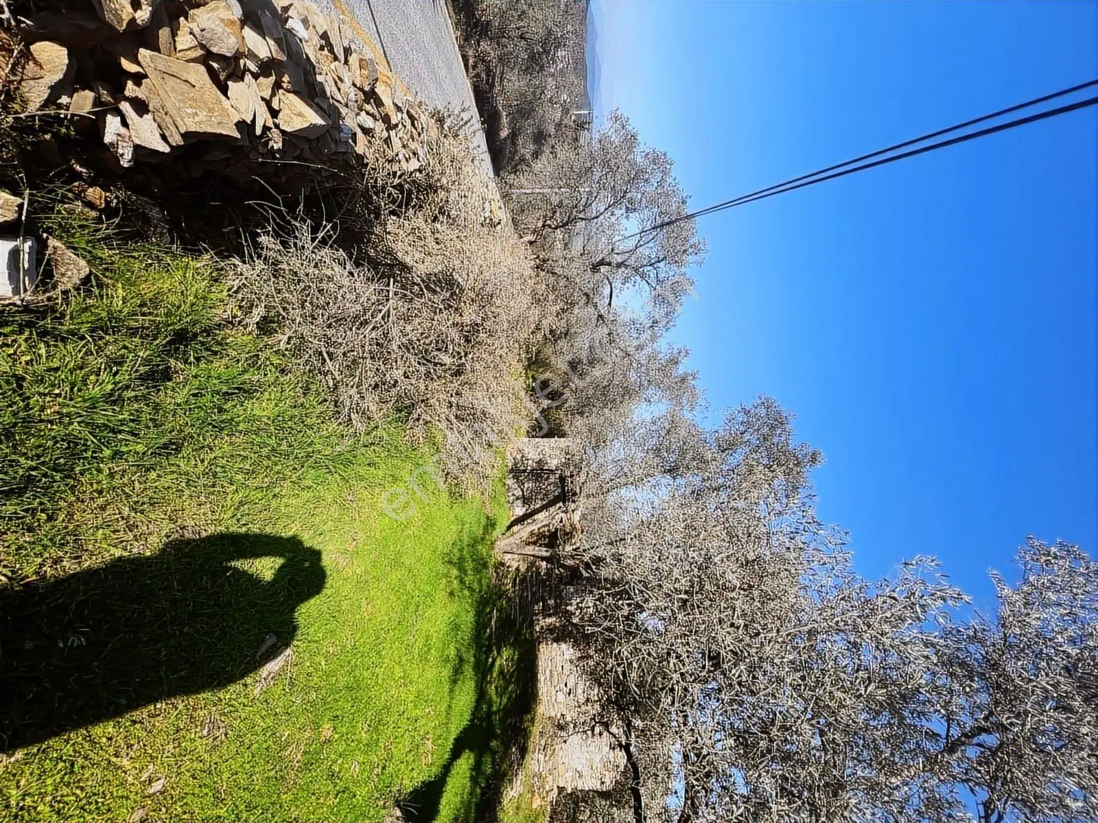 Milas Karacahisarda Köy İçi Kağir Ev Ve 980 M2 Arsası — fotoğraf 14