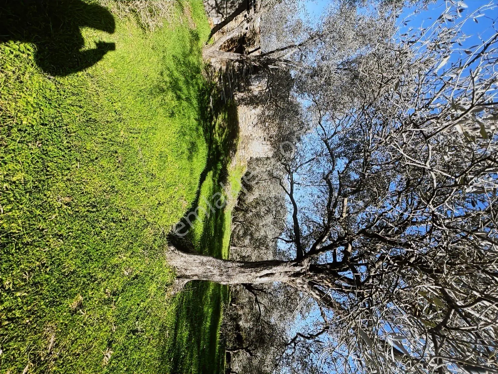 Milas Karacahisarda Köy İçi Kağir Ev Ve 980 M2 Arsası — fotoğraf 18
