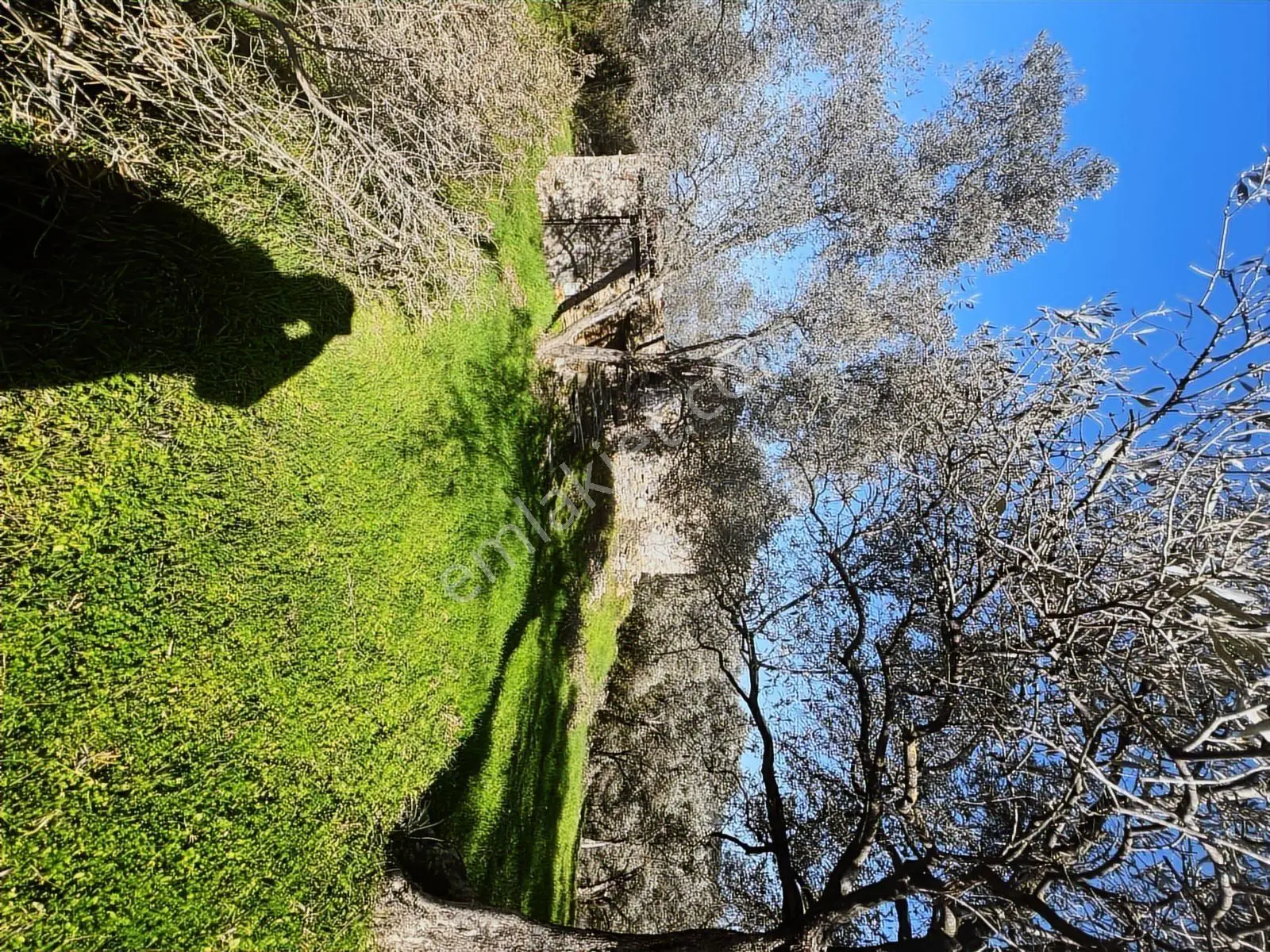 Milas Karacahisarda Köy İçi Kağir Ev Ve 980 M2 Arsası — fotoğraf 19