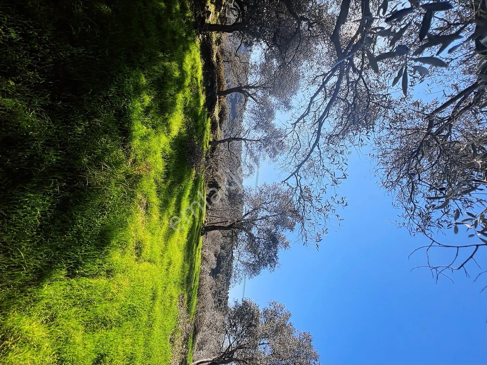 Milas Karacahisarda Köy İçi Kağir Ev Ve 980 M2 Arsası — fotoğraf 20