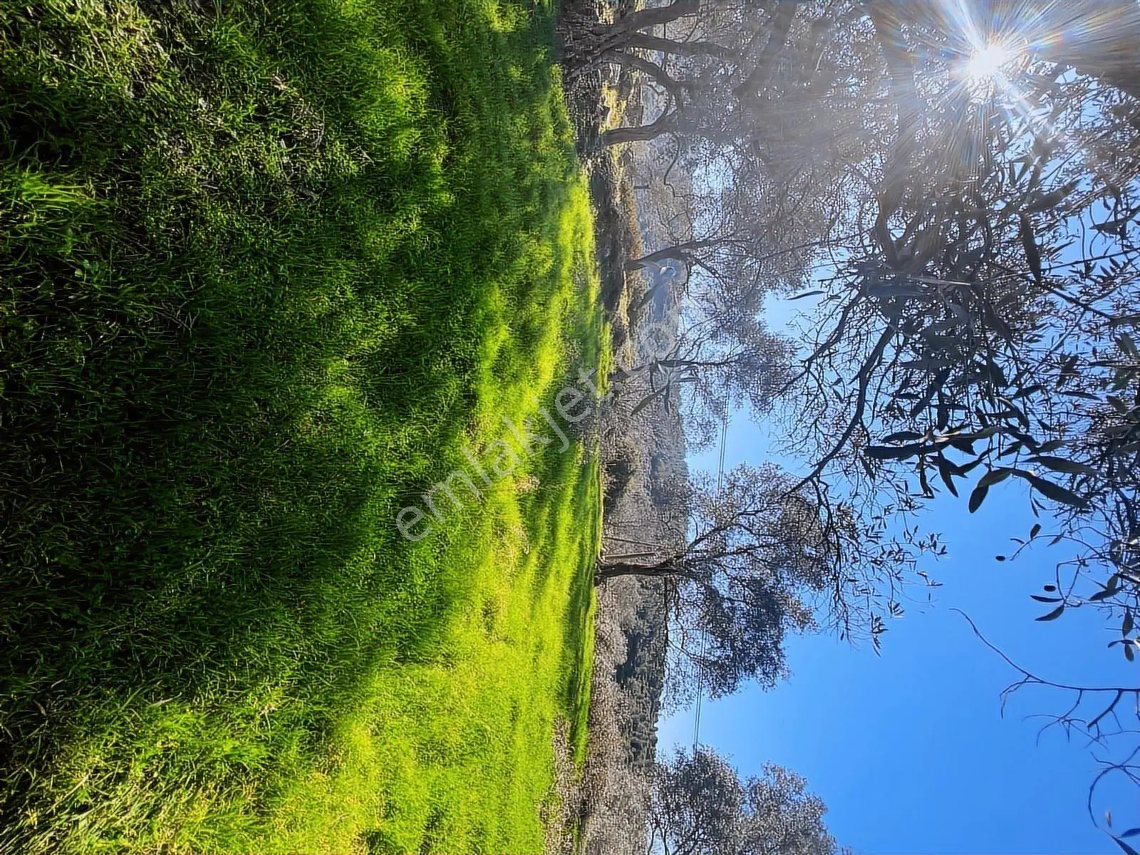 Milas Karacahisarda Köy İçi Kağir Ev Ve 980 M2 Arsası — fotoğraf 22