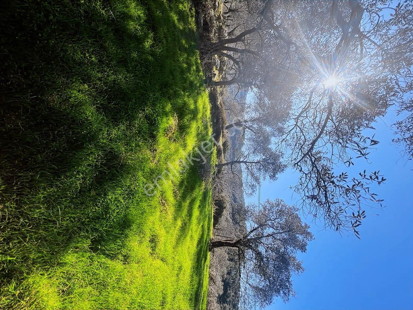 Milas Karacahisarda Köy İçi Kağir Ev Ve 980 M2 Arsası — fotoğraf 23