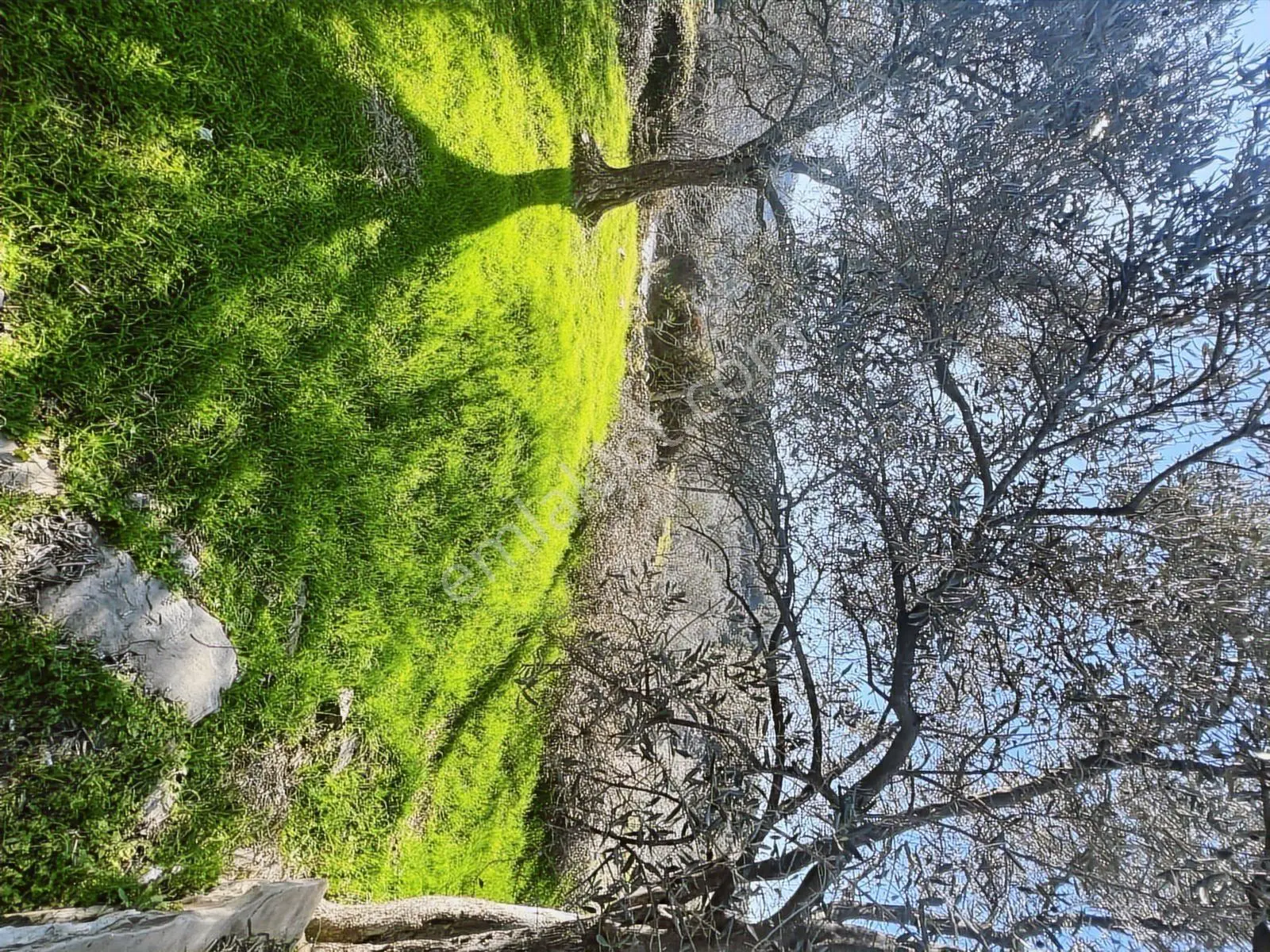 Milas Karacahisarda Köy İçi Kağir Ev Ve 980 M2 Arsası — fotoğraf 26