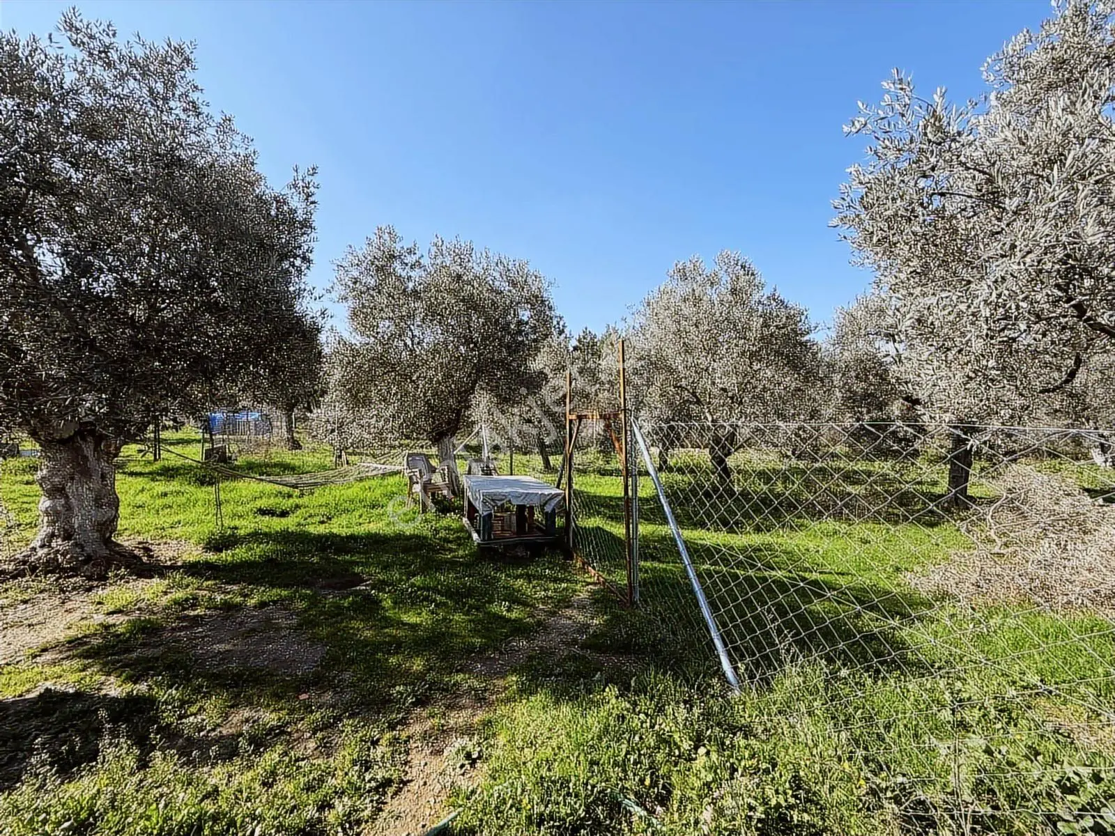 Novas'tan Torbalı Dirmil'de Satılık İçinde Ev Olan Bahçe — fotoğraf 11
