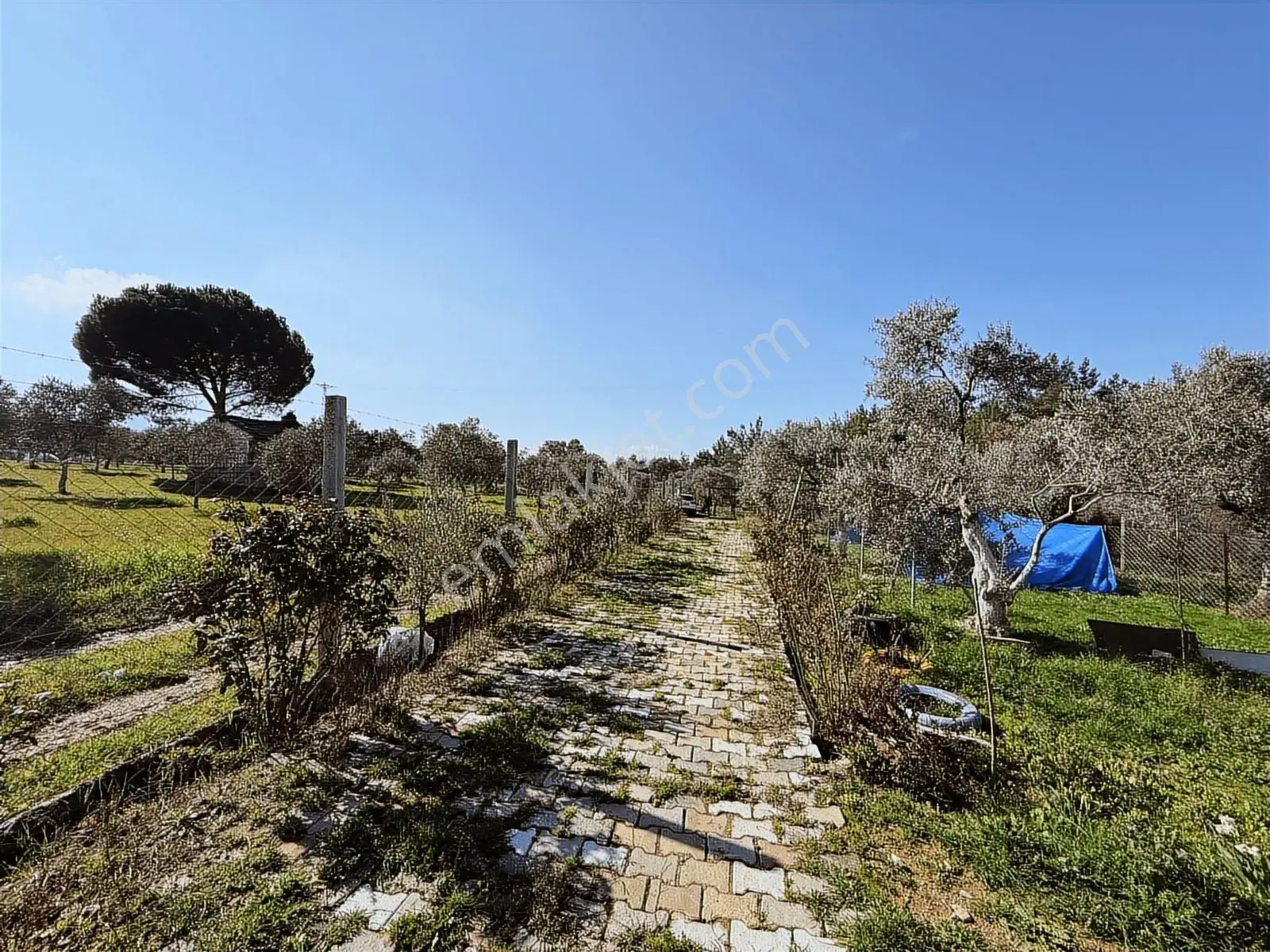 Novas'tan Torbalı Dirmil'de Satılık İçinde Ev Olan Bahçe — fotoğraf 27