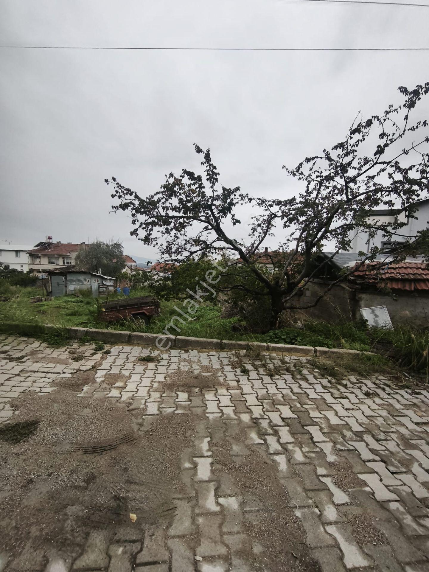 C21 Cius; Umurbey'de Yan Yana 3 Kat Konut İmarlı Arsa — fotoğraf 7