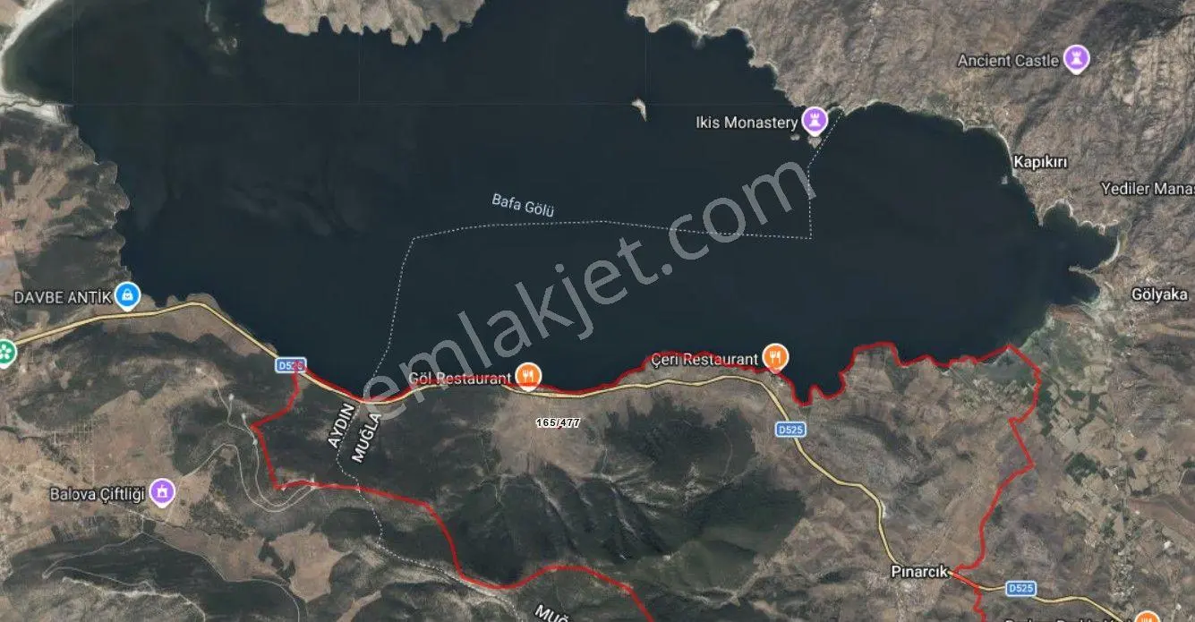 Milas Pınarcık'ta Satılık 2646 M² Göl Manzaralı Yatırımlık Zeytinlik — fotoğraf 3