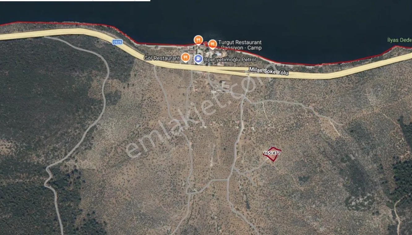Milas Pınarcık'ta Satılık 2646 M² Göl Manzaralı Yatırımlık Zeytinlik — fotoğraf 4