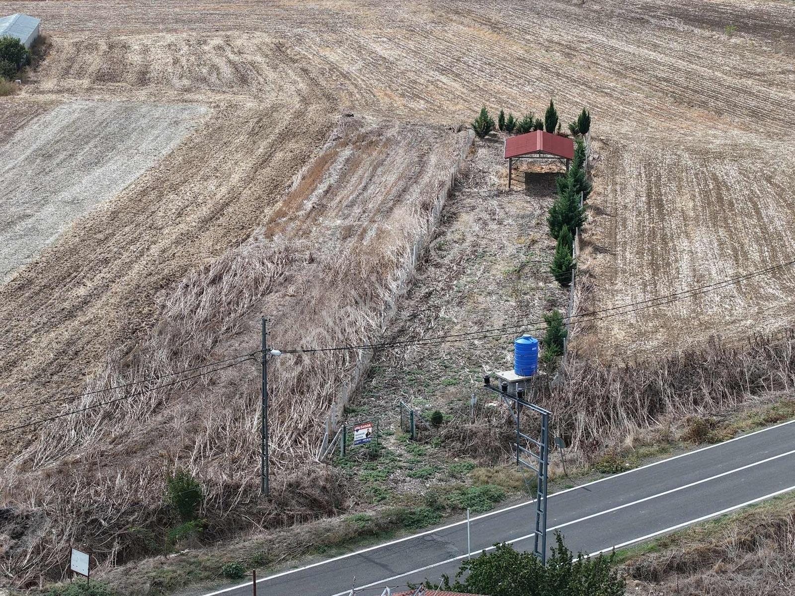 Tekirdağ Muratlı Yeşilsırtta Satılık 1.000 M² Tarla