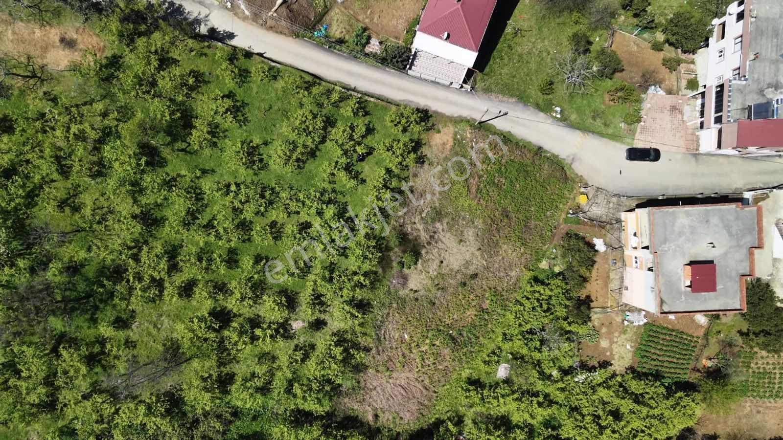 Rw Taka'dan Hürriyet Mahallesinde Müstakil Tapulu Arsa — fotoğraf 8