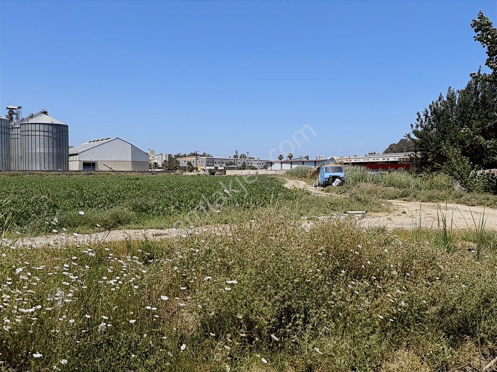 Adahan'dan Ana Yola 2. Parsel Yenicede Fabrika Ve Sera Arsası — fotoğraf 4