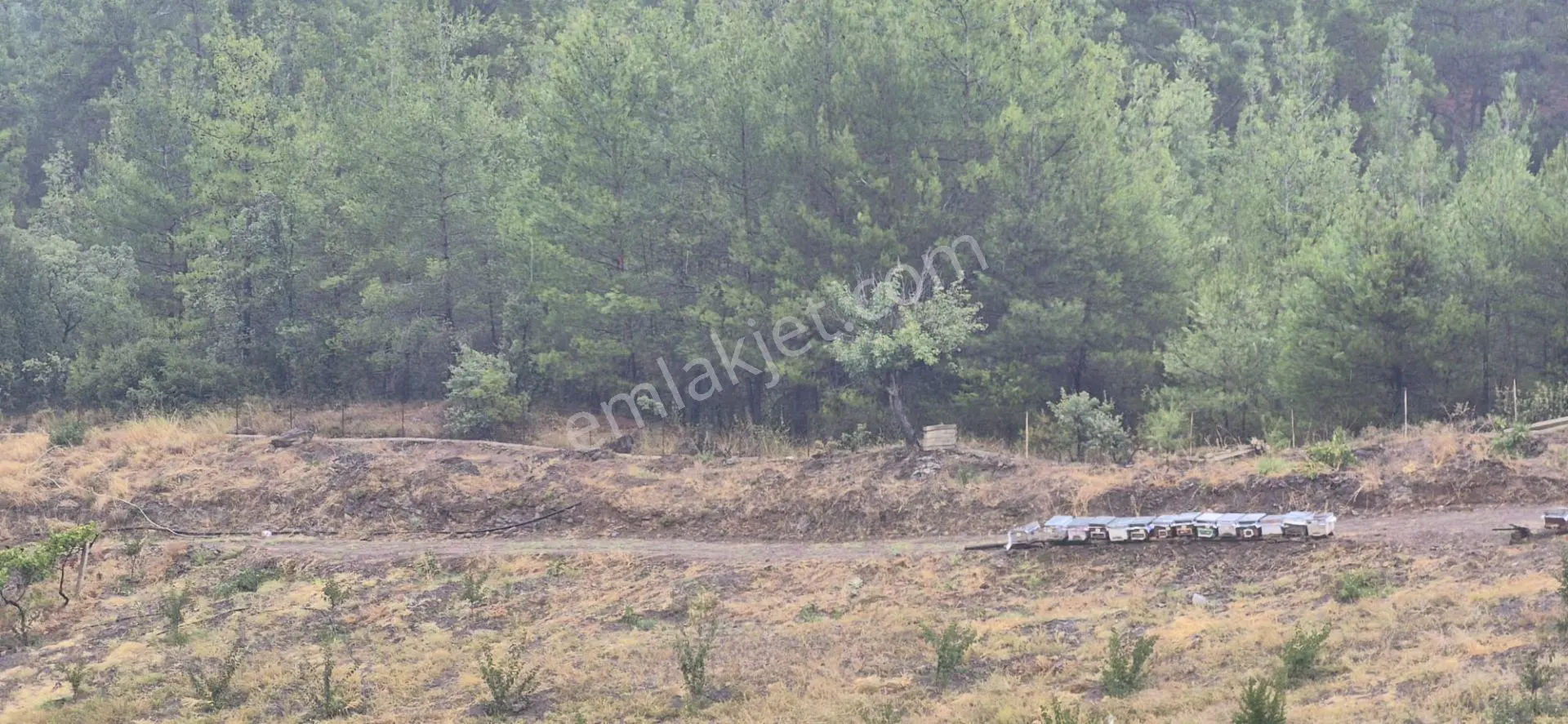 Üretimiyle Öne Çıkan, Geleceğe Değer Katan Satılık Arazi — fotoğraf 17