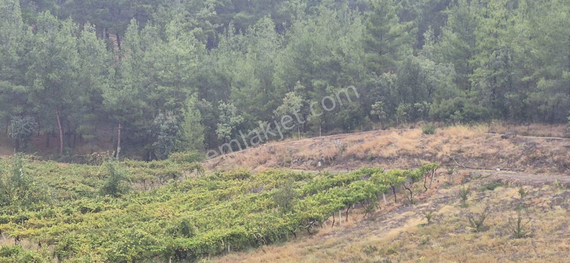 Üretimiyle Öne Çıkan, Geleceğe Değer Katan Satılık Arazi — fotoğraf 18