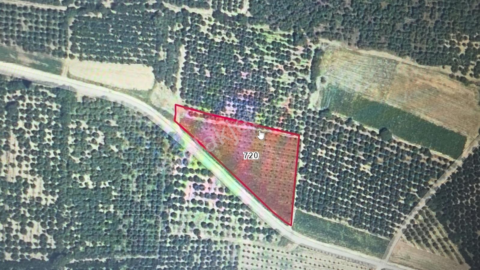 Bke Bursa Kılıç Tan Hasanköy De Satılık 4.220m2 Yola Cephe Tarla