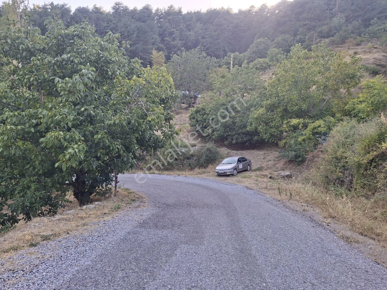 Kestane Kiraz Bahçesi Elektrik Ve Su Havuz Mevcut 7000m2 Ana Yol — fotoğraf 2