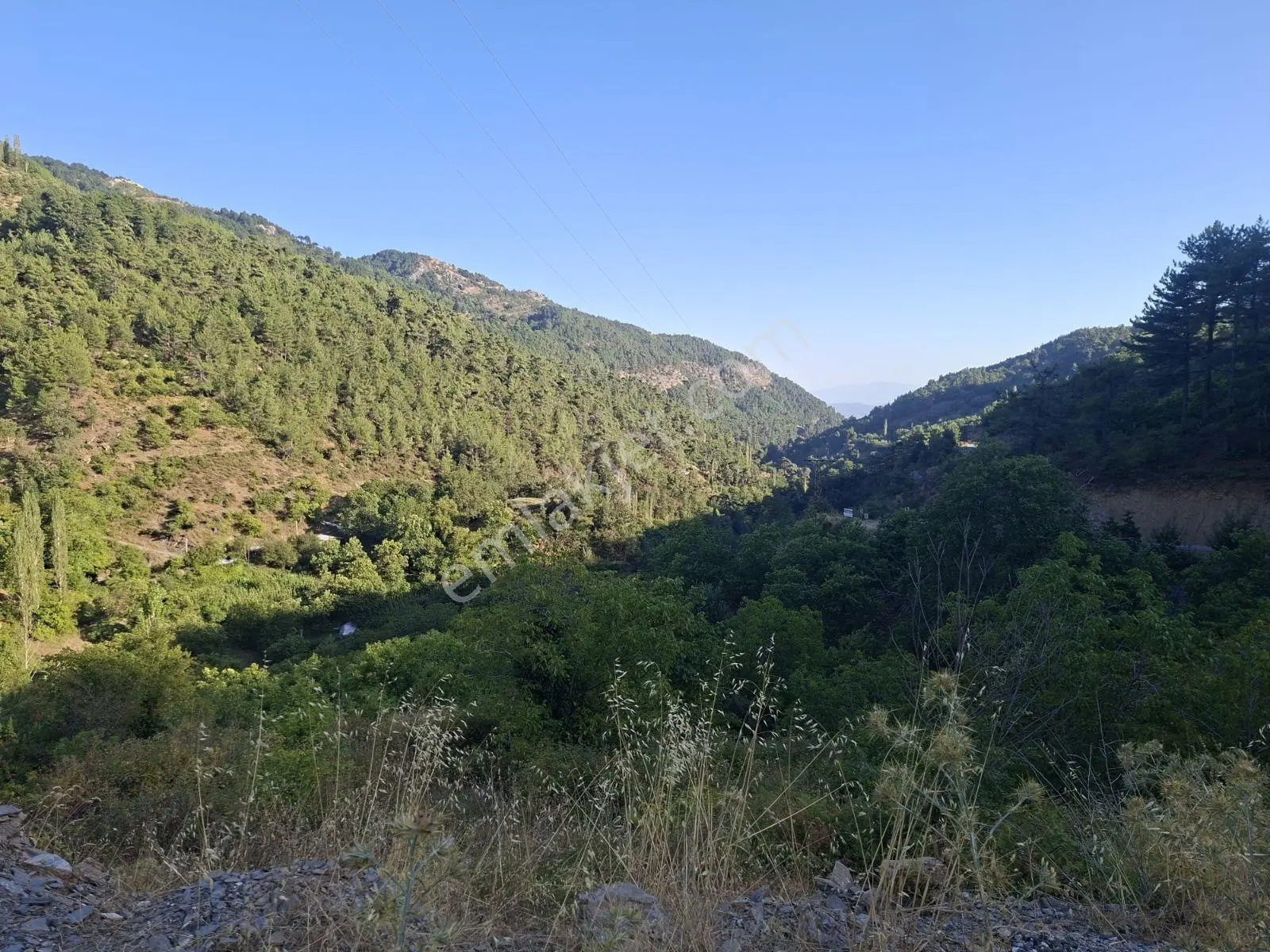 Kestane Kiraz Bahçesi Elektrik Ve Su Havuz Mevcut 7000m2 Ana Yol — fotoğraf 3