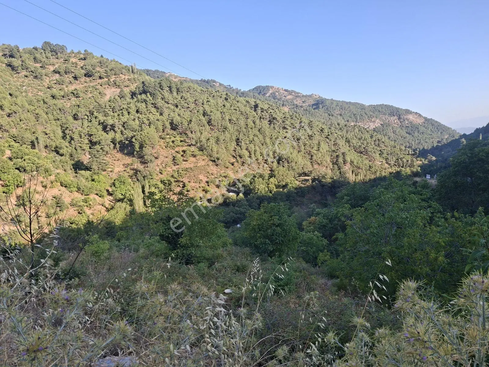 Kestane Kiraz Bahçesi Elektrik Ve Su Havuz Mevcut 7000m2 Ana Yol — fotoğraf 4