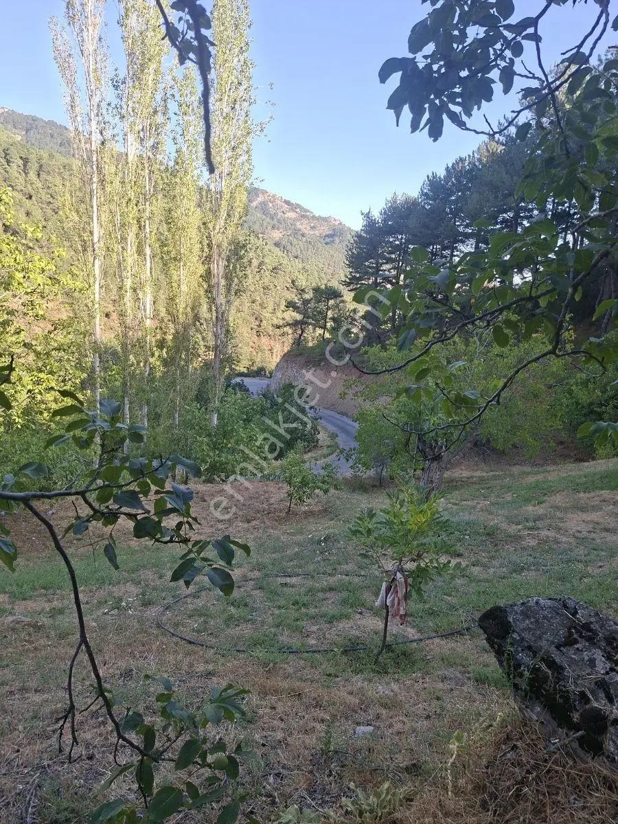 Kestane Kiraz Bahçesi Elektrik Ve Su Havuz Mevcut 7000m2 Ana Yol — fotoğraf 6
