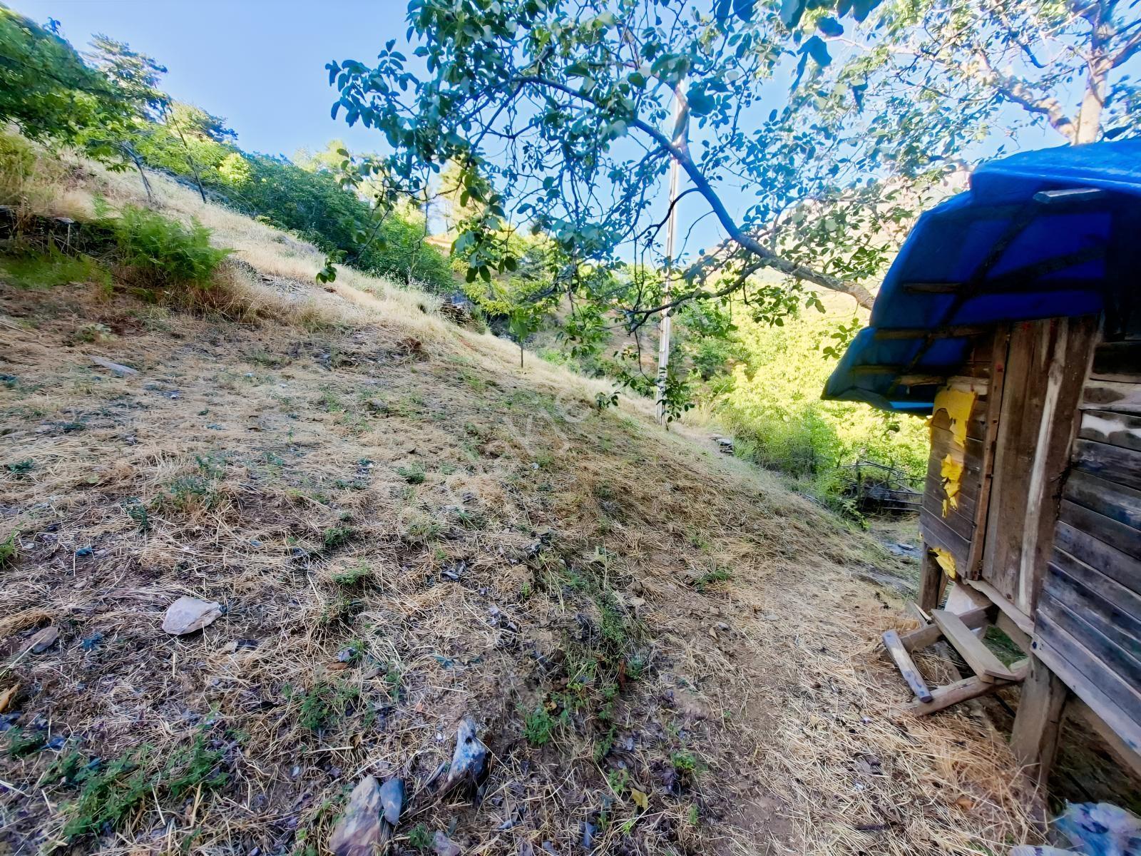 Kestane Kiraz Bahçesi Elektrik Ve Su Havuz Mevcut 7000m2 Ana Yol — fotoğraf 7