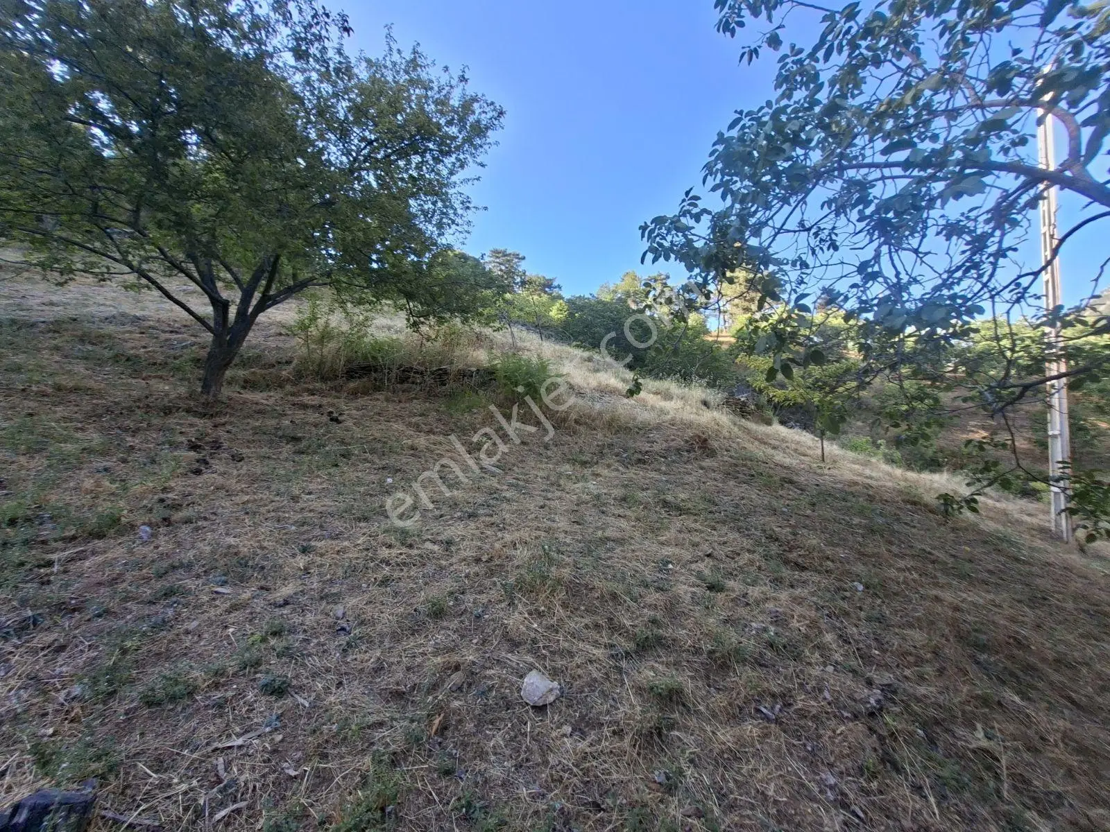 Kestane Kiraz Bahçesi Elektrik Ve Su Havuz Mevcut 7000m2 Ana Yol — fotoğraf 8
