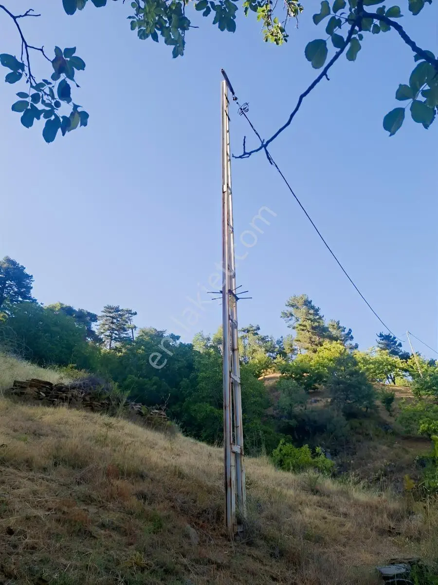 Kestane Kiraz Bahçesi Elektrik Ve Su Havuz Mevcut 7000m2 Ana Yol — fotoğraf 9
