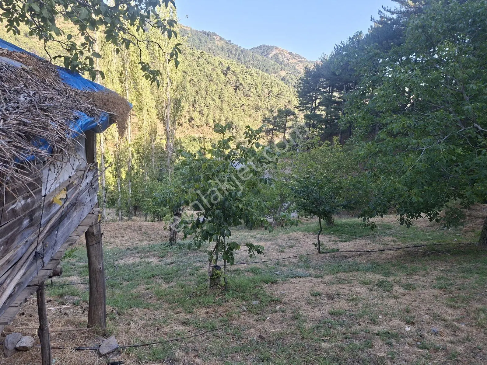 Kestane Kiraz Bahçesi Elektrik Ve Su Havuz Mevcut 7000m2 Ana Yol — fotoğraf 10