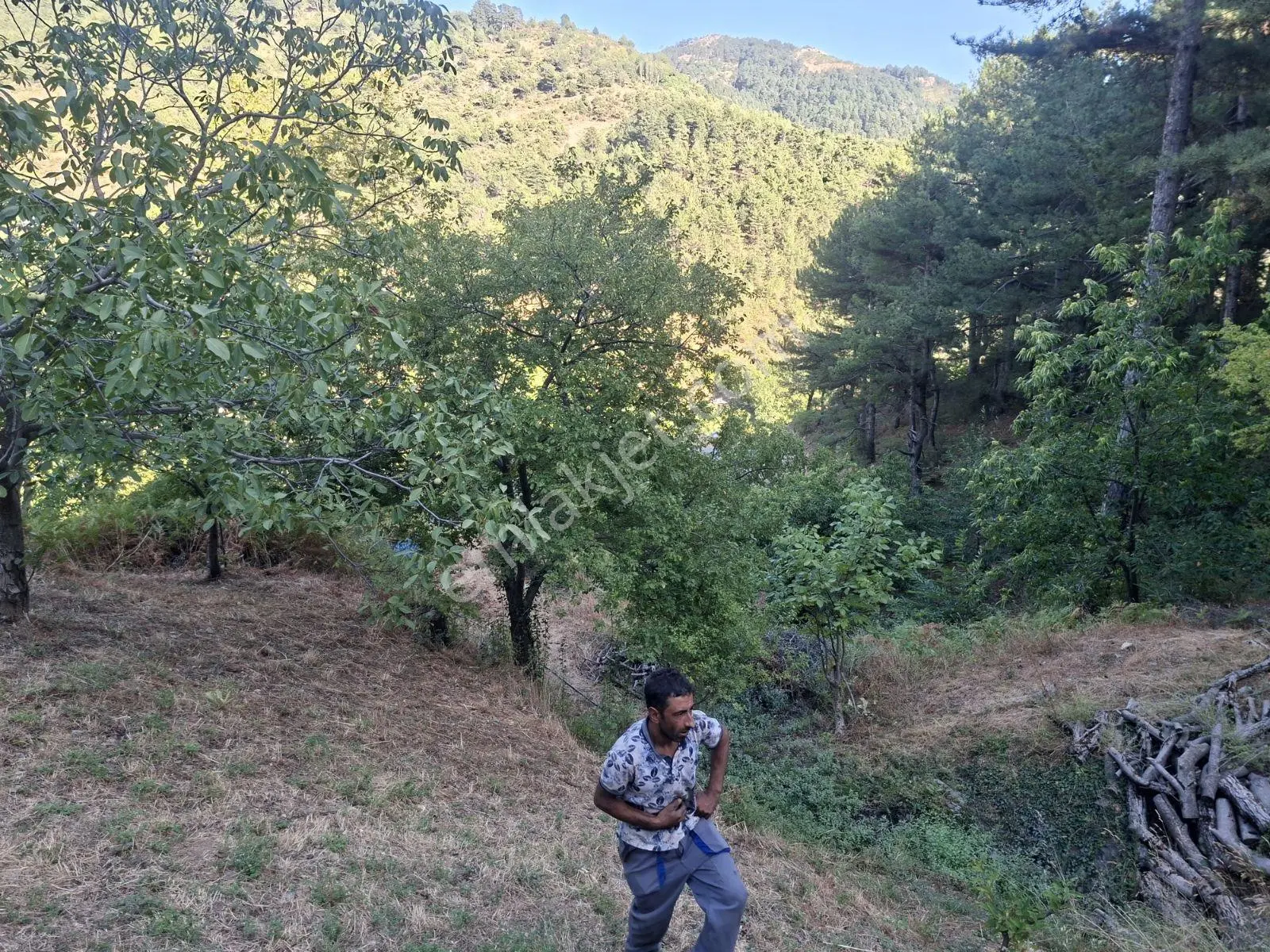 Kestane Kiraz Bahçesi Elektrik Ve Su Havuz Mevcut 7000m2 Ana Yol — fotoğraf 18