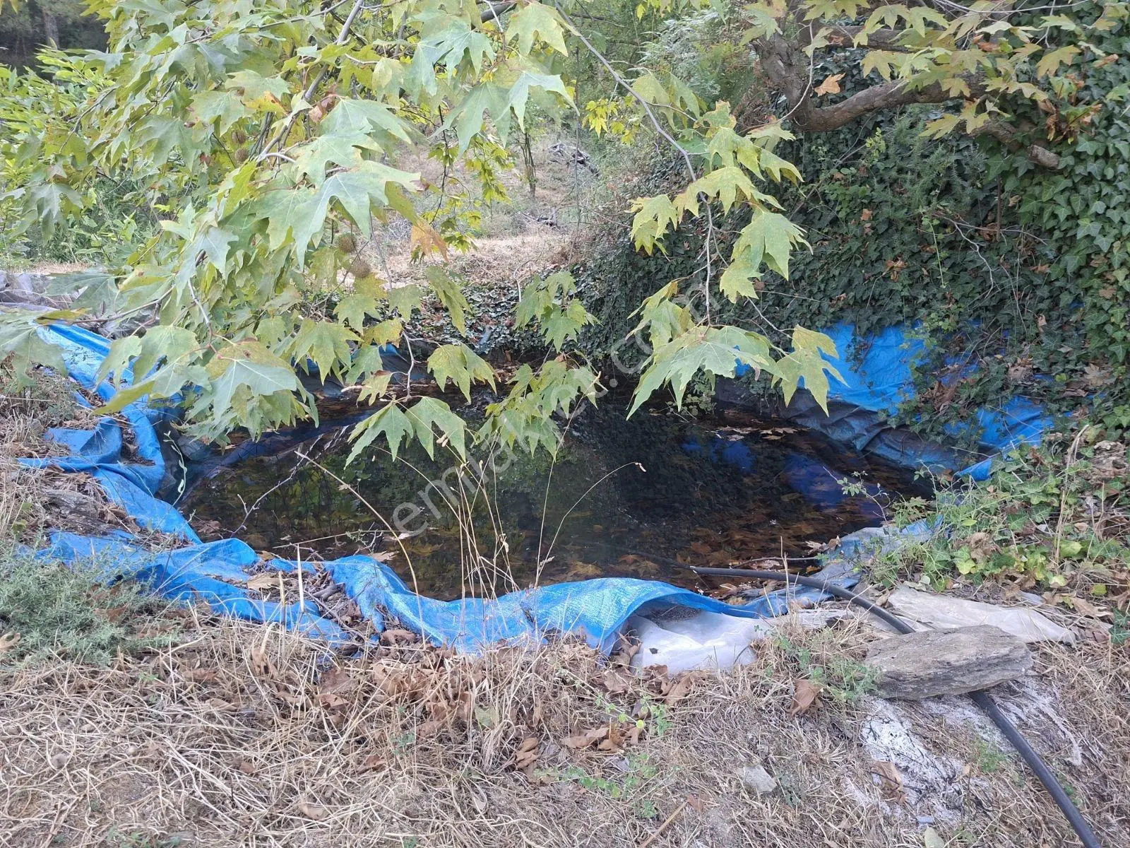 Kestane Kiraz Bahçesi Elektrik Ve Su Havuz Mevcut 7000m2 Ana Yol — fotoğraf 24