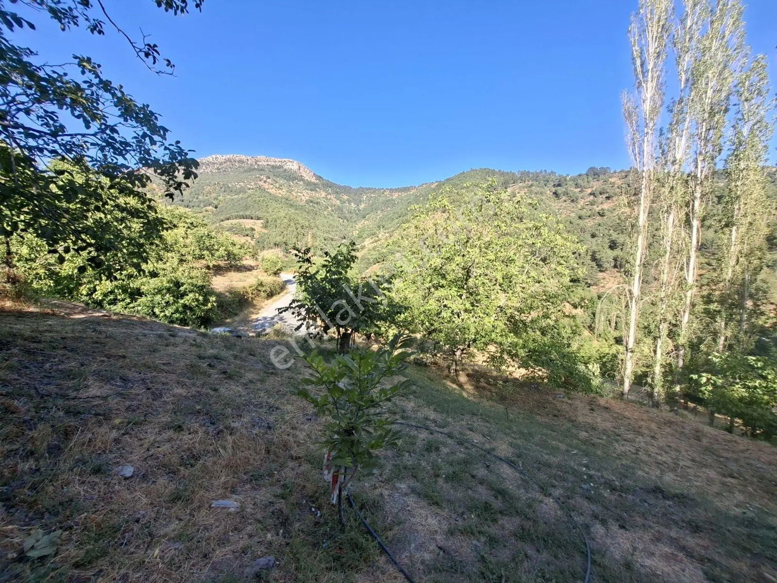 Kestane Kiraz Bahçesi Elektrik Ve Su Havuz Mevcut 7000m2 Ana Yol — fotoğraf 28