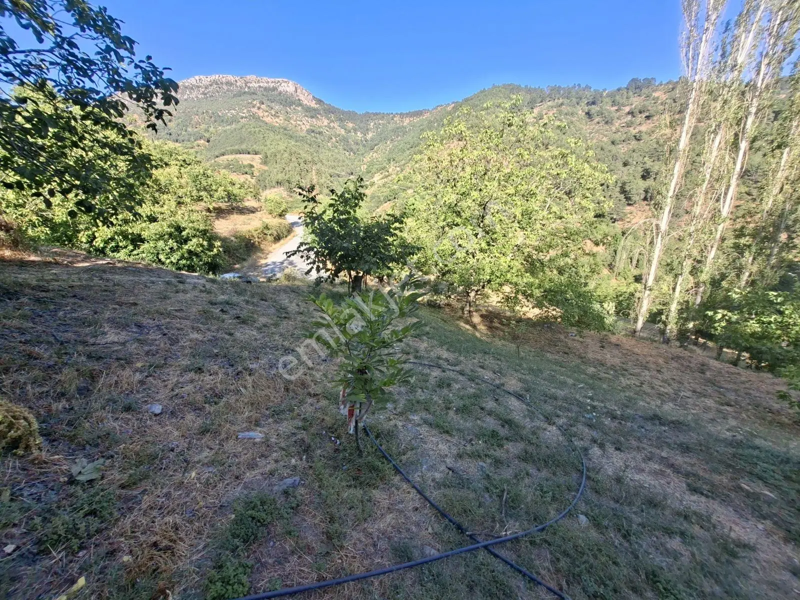 Kestane Kiraz Bahçesi Elektrik Ve Su Havuz Mevcut 7000m2 Ana Yol — fotoğraf 29
