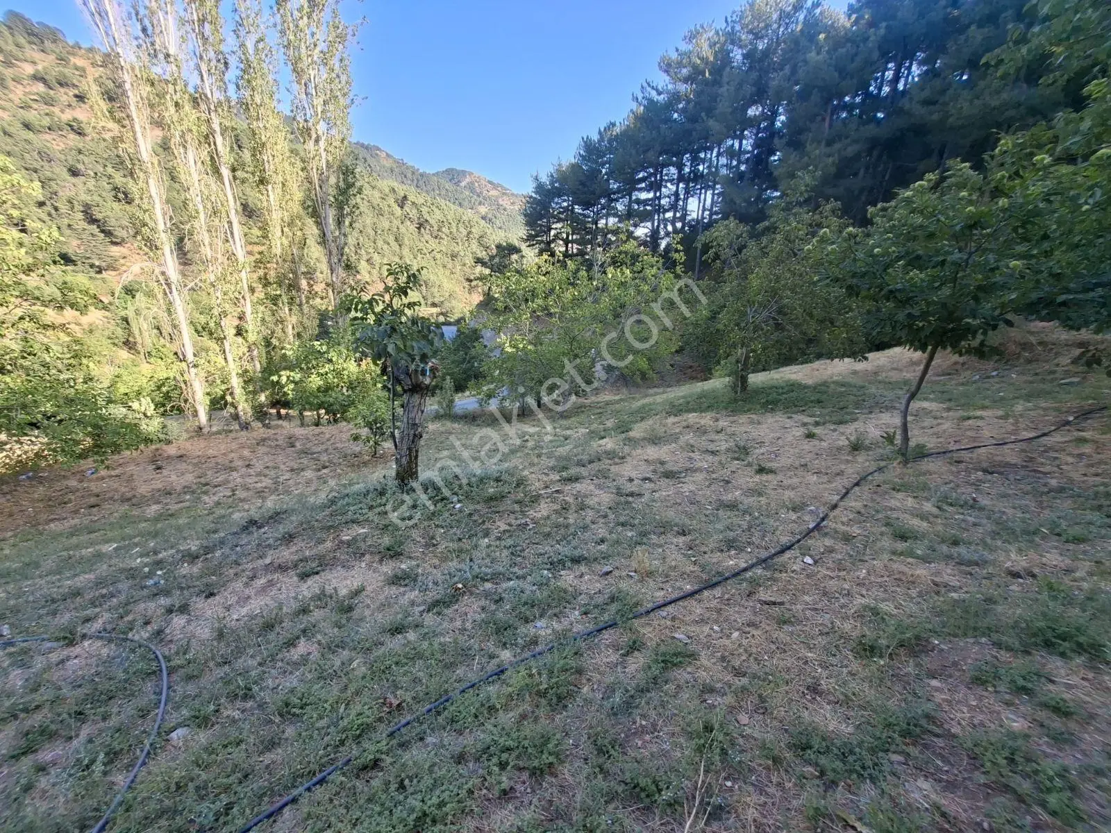 Kestane Kiraz Bahçesi Elektrik Ve Su Havuz Mevcut 7000m2 Ana Yol — fotoğraf 30