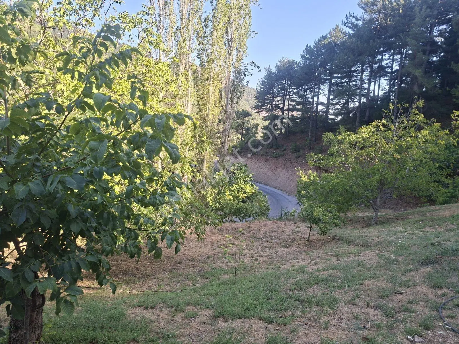 Kestane Kiraz Bahçesi Elektrik Ve Su Havuz Mevcut 7000m2 Ana Yol — fotoğraf 32