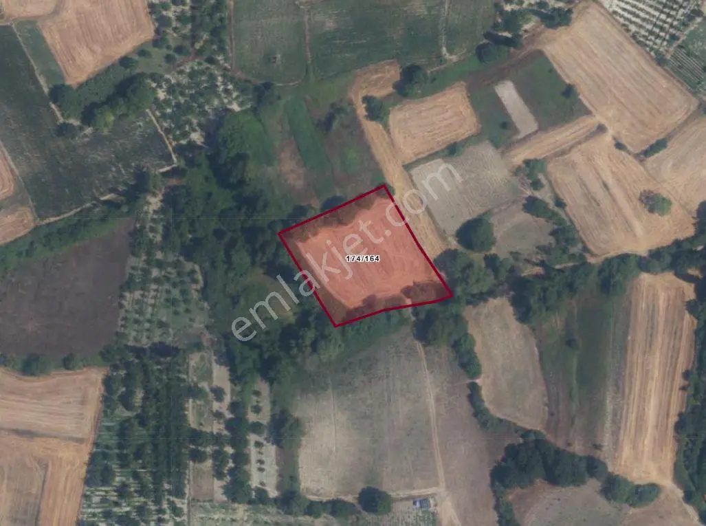 Altıeylül Bereketli'de Satılık 3900 M² Geniş Arazi