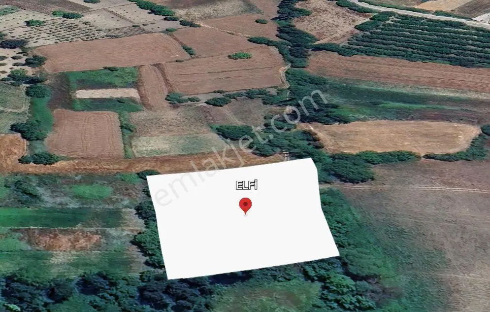Altıeylül Bereketli'de Satılık 3900 M² Geniş Arazi — fotoğraf 3