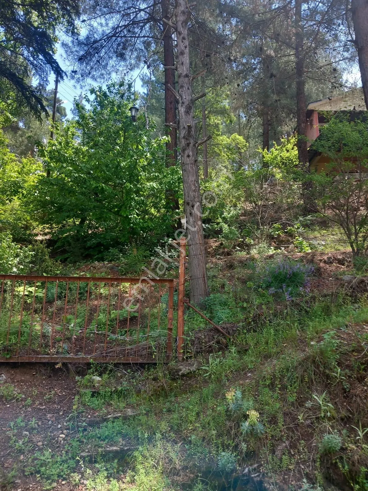 Torosların İncisi Yeni Köyde Kaçırılmaz Fırsat Yayla Evi — fotoğraf 10