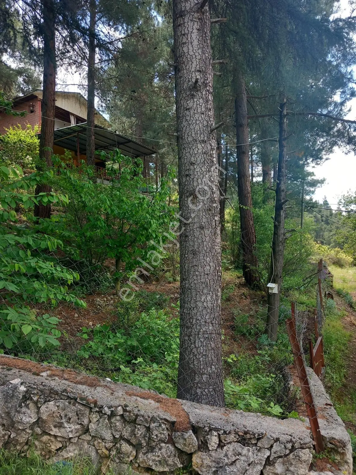 Torosların İncisi Yeni Köyde Kaçırılmaz Fırsat Yayla Evi — fotoğraf 11