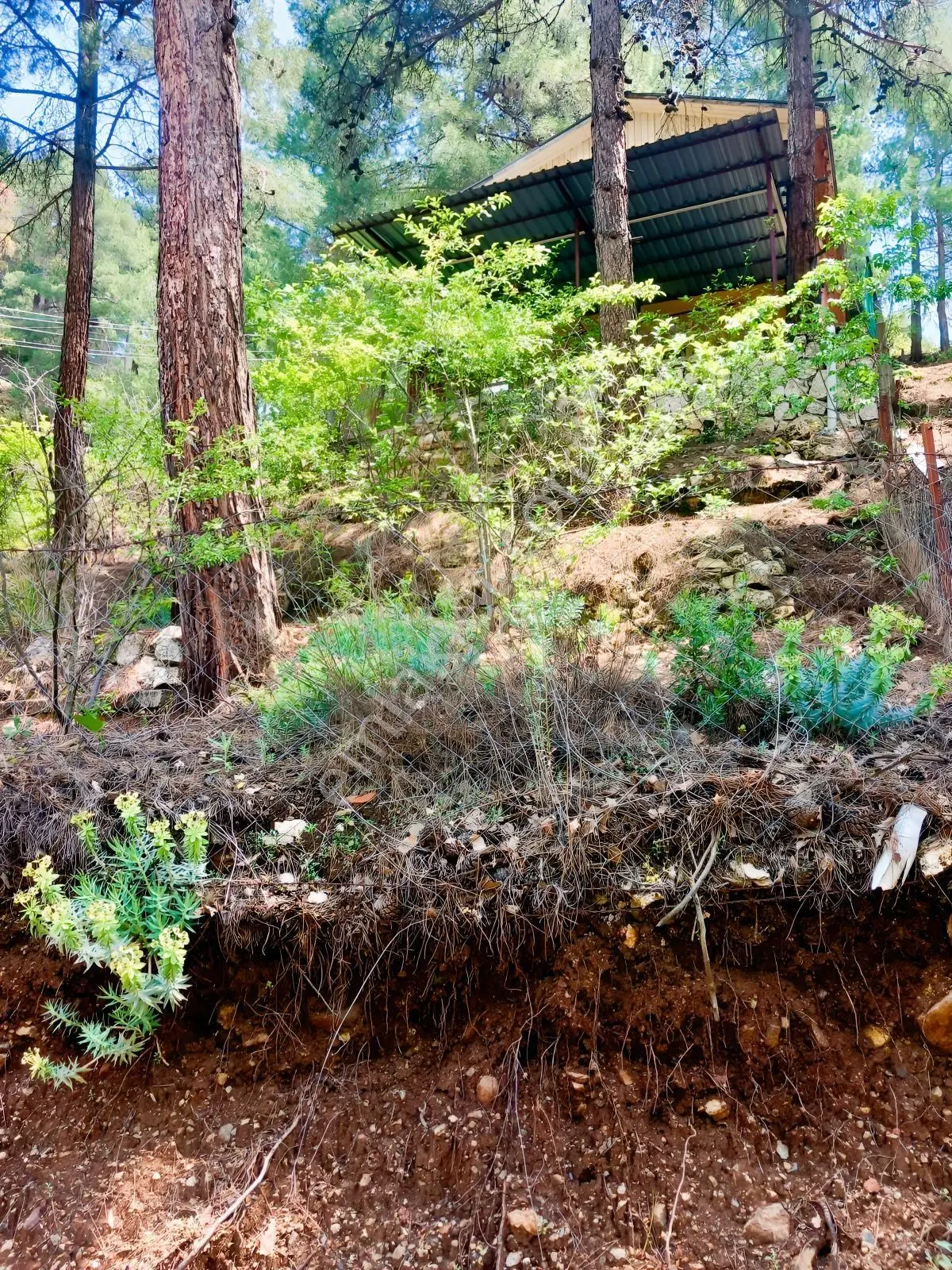 Torosların İncisi Yeni Köyde Kaçırılmaz Fırsat Yayla Evi — fotoğraf 13