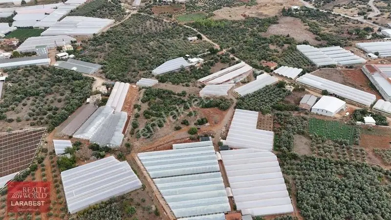 Kepez Altıayak Satılık Arsa — fotoğraf 4