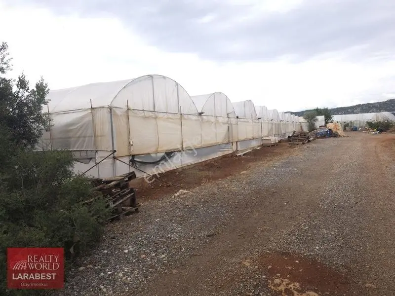 Kepez Altıayak Satılık Arsa — fotoğraf 8