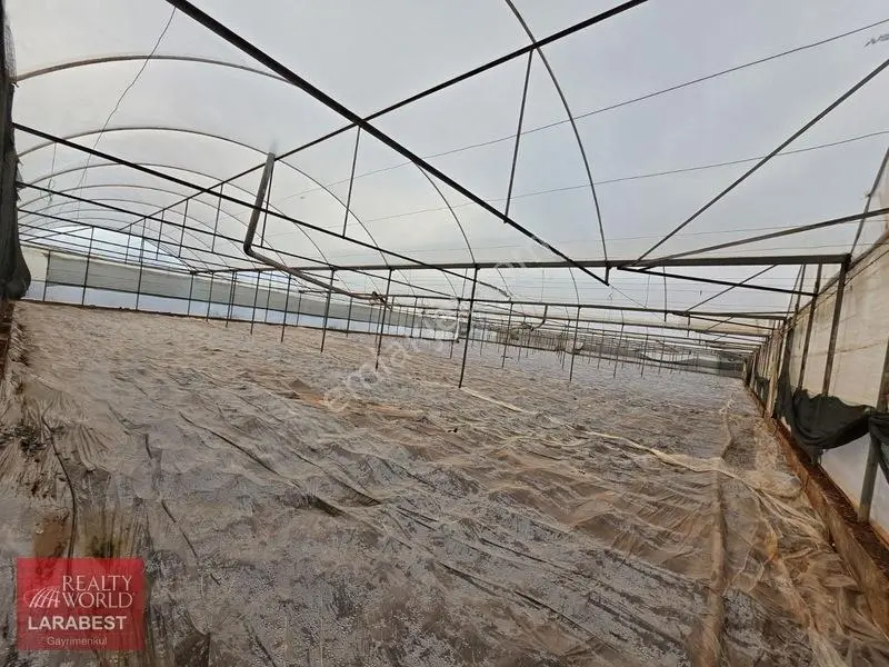 Kepez Altıayak Satılık Arsa — fotoğraf 10