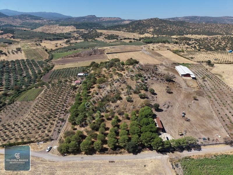 Dikili Demirtaşta 20.610 M² Tarla Hayvancılık & Yatırım Fırsatı