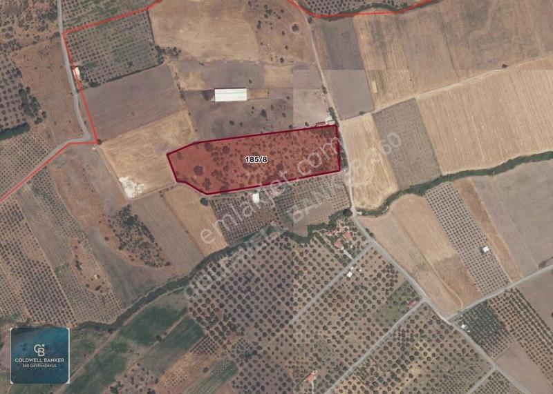 Dikili Demirtaşta 20.610 M² Tarla Hayvancılık & Yatırım Fırsatı — fotoğraf 2