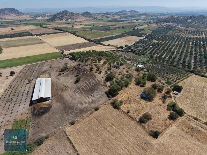 Dikili Demirtaşta 20.610 M² Tarla Hayvancılık & Yatırım Fırsatı — fotoğraf 6