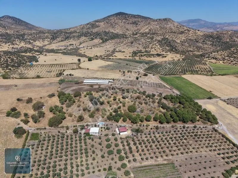 Dikili Demirtaşta 20.610 M² Tarla Hayvancılık & Yatırım Fırsatı — fotoğraf 7